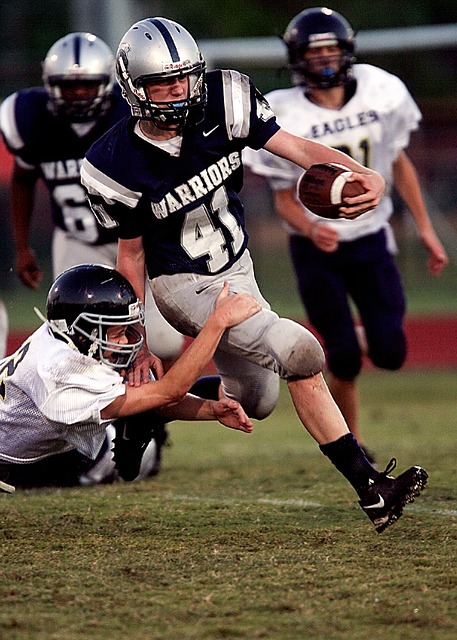 结论性的专 结论性的专