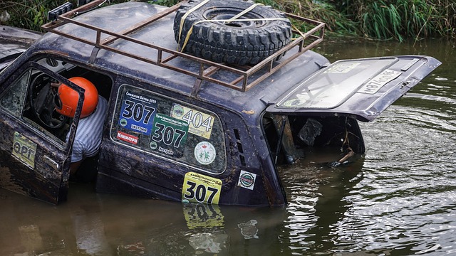 力的展示 力的展示