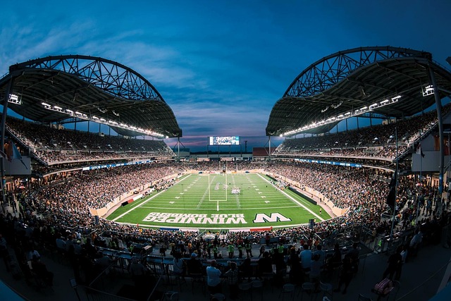 什么是真正 什么是真正