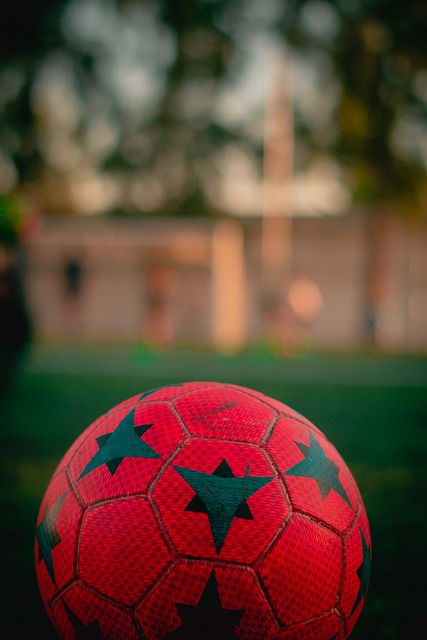 也需要培养 也需要培养