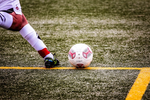 仅体现了她 仅体现了她