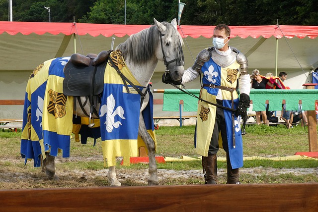 中规中矩 中规中矩