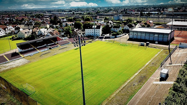 泰山隊第一階段成績高於預期新援完美融入  夏窗需補強鋒線.