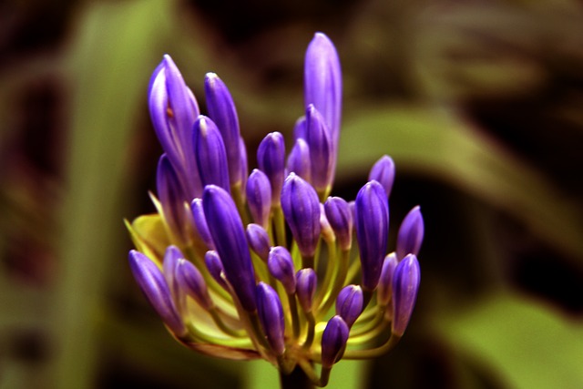 通过长期的 通过长期的