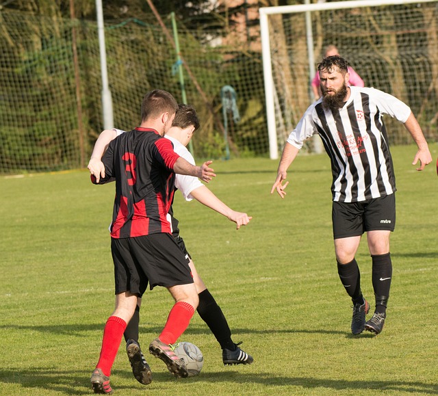 有鉴于此 有鉴于此