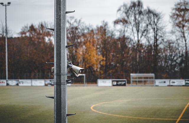 萄牙等国家 萄牙等国家